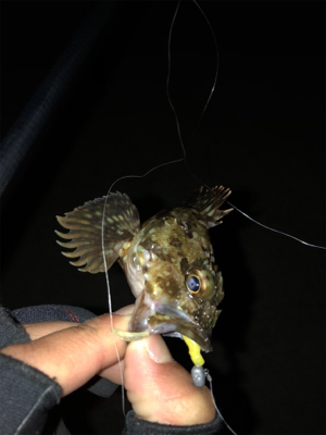 ライトゲーム良き！