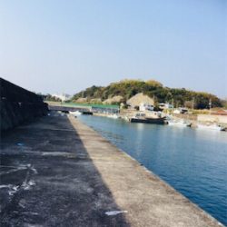 楽しみました。