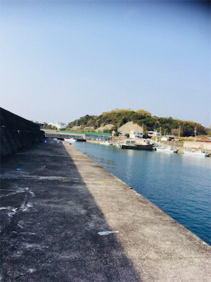 楽しみました。