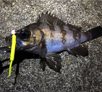 短時間でメバリング