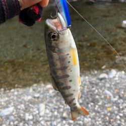 渓流釣り