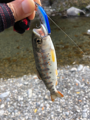 渓流釣り