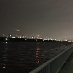 チニング1時間一本勝負