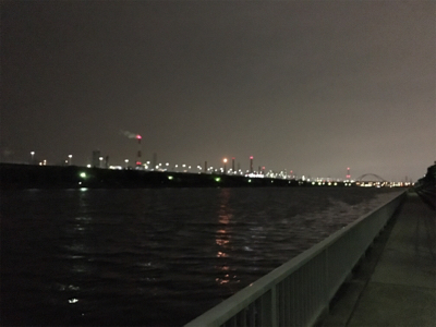 チニング1時間一本勝負