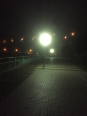 メバリングに取り憑かれて