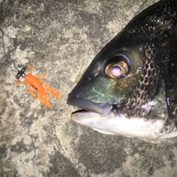 雨風が強くなる前に！