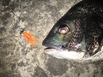 雨風が強くなる前に！