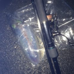 なんとかボウズ回避