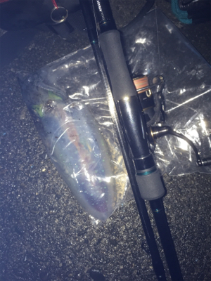 なんとかボウズ回避