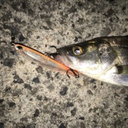 バチ抜け未だか？