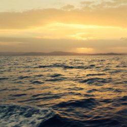 今年 初 舞鶴！