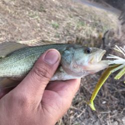 上田市にある須川湖
