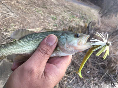 上田市にある須川湖