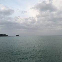 まさかのドラゴン！