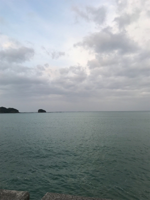 まさかのドラゴン！