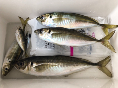 久しぶりの餌釣り