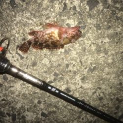 季節外れの寒さ