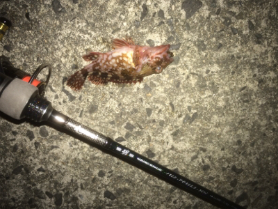 季節外れの寒さ