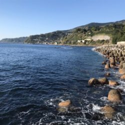 まさかのヤツが。。。