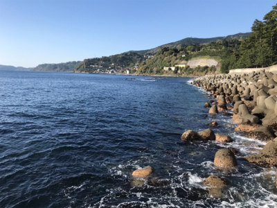 まさかのヤツが。。。