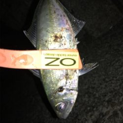 久しぶりにニコニコ！