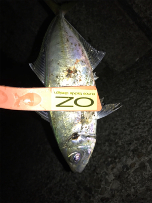 久しぶりにニコニコ！