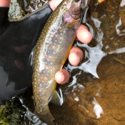 午後のひととき