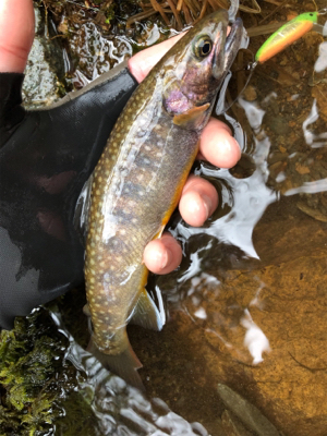 午後のひととき