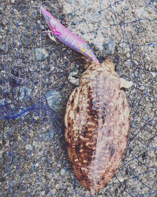 爆風の中で頑張りました！