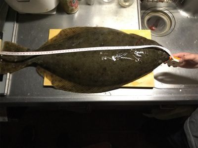 久々〜のヒラメ