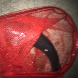 シーバス釣れまてん