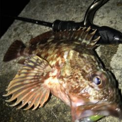 海太郎さんまじパネェッす