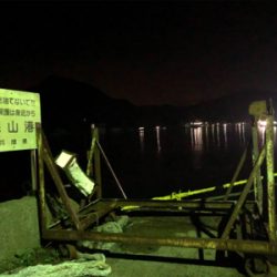 アジメバル調査