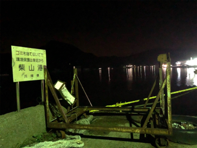 アジメバル調査