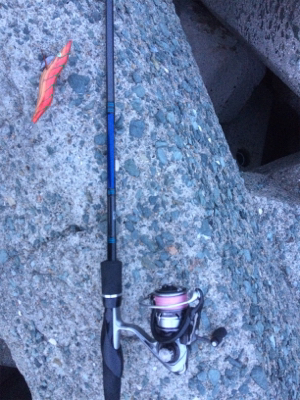 3投目で釣れたっ！