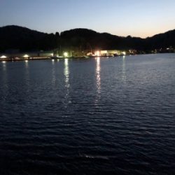 アタリはあるが、、、