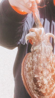 コウイカチャレンジ☺️