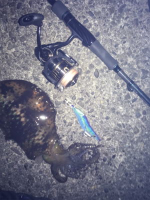 時合いにぱたぱた