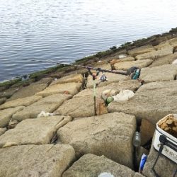 早起きしても沢山釣れず