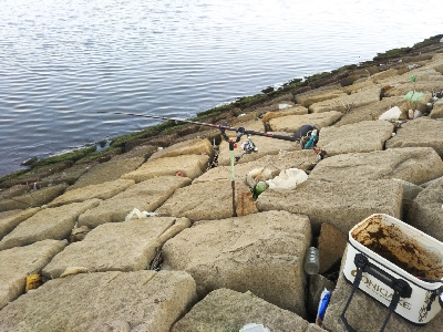 早起きしても沢山釣れず