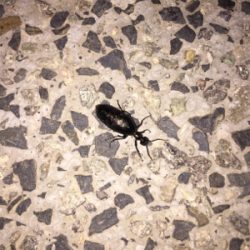 お手軽ライトゲーム