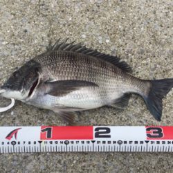 雨上がりの昼下がり