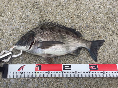 雨上がりの昼下がり