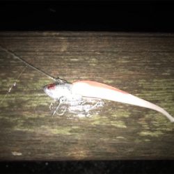 久々ナイトゲーム