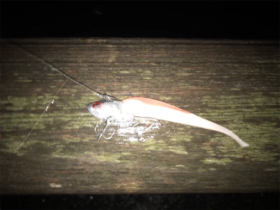 久々ナイトゲーム