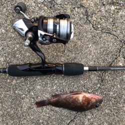 福良ライトゲーム