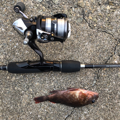 福良ライトゲーム