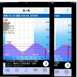 激流シーバスフィッシング！！