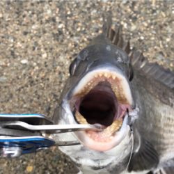 雨が降るなか釣りに行きました