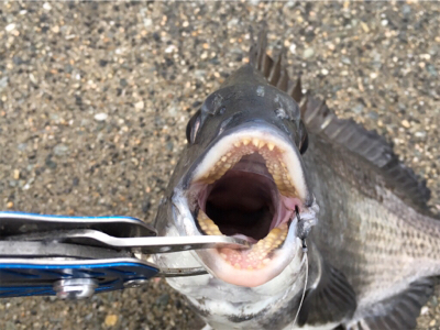 雨が降るなか釣りに行きました